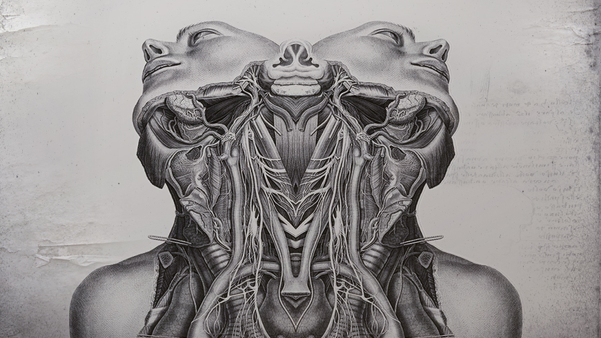 Harvest Digital Agriculture - Lili Studios // Two-Headed Dreams Harvest Digital Agriculture - Lili Studios // Two-Headed Dreams