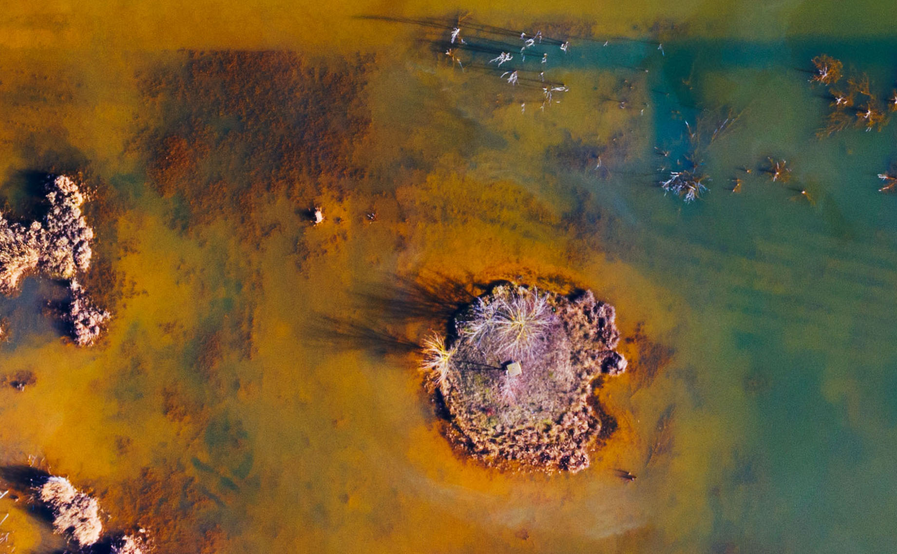 Harvest Digital Agriculture - photo series // man-made lands