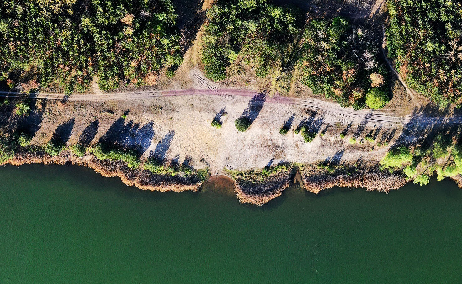 Harvest Digital Agriculture - photo series // man-made lands