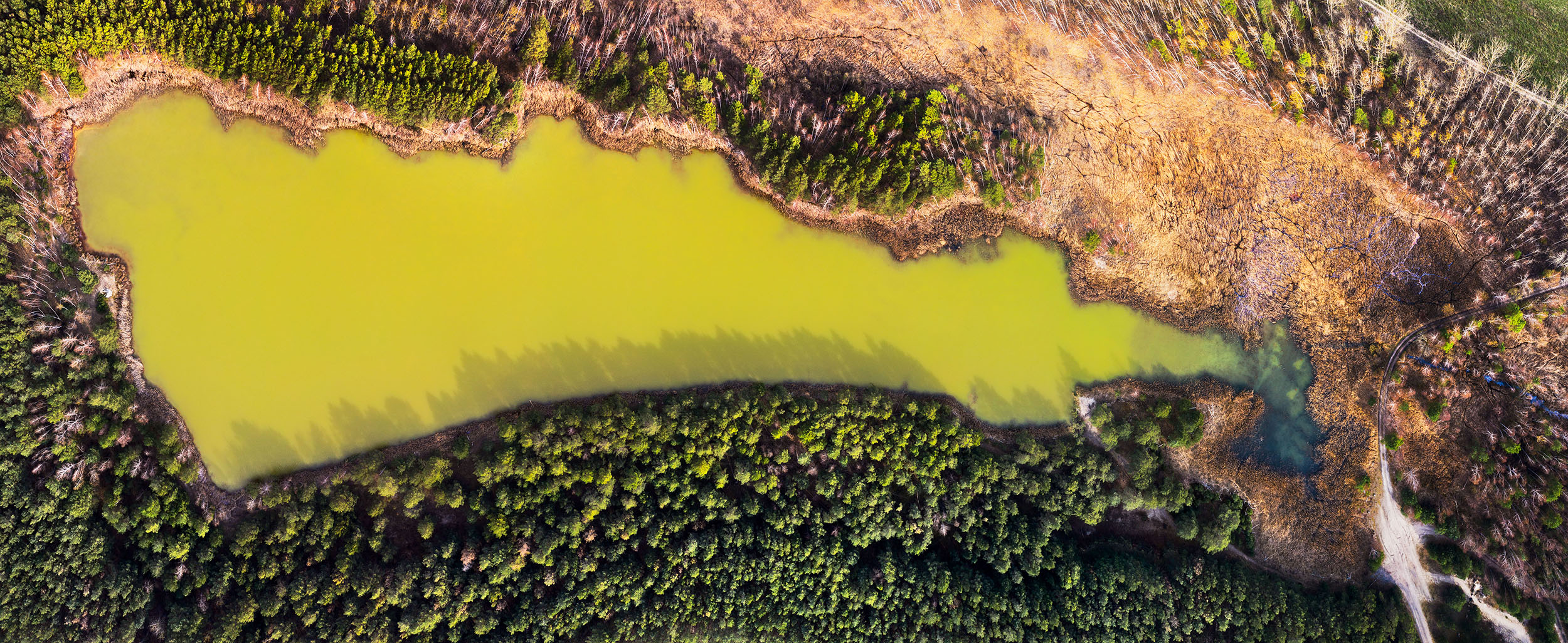 Harvest Digital Agriculture - photo series // man-made lands