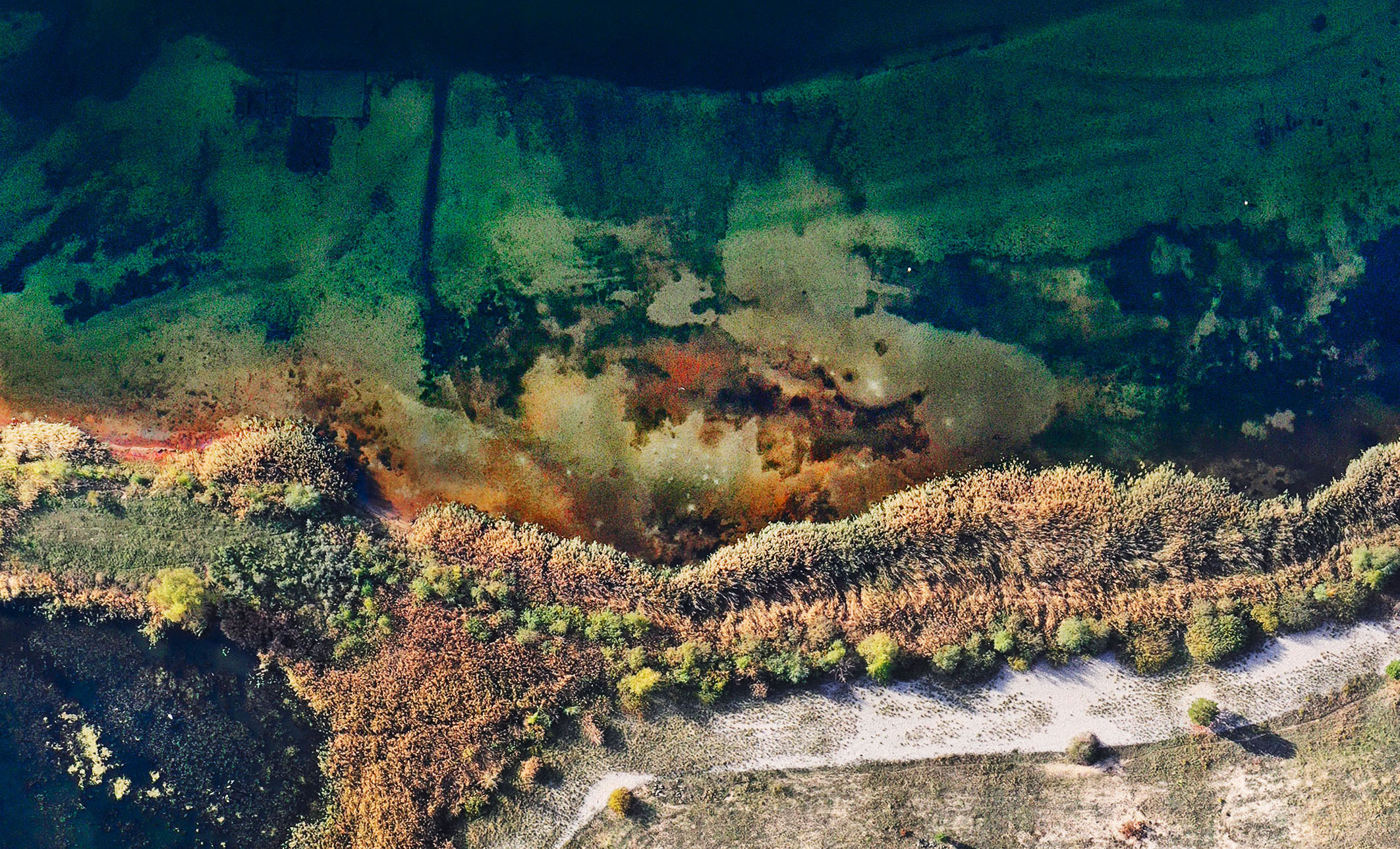 Harvest Digital Agriculture - photo series // man-made lands