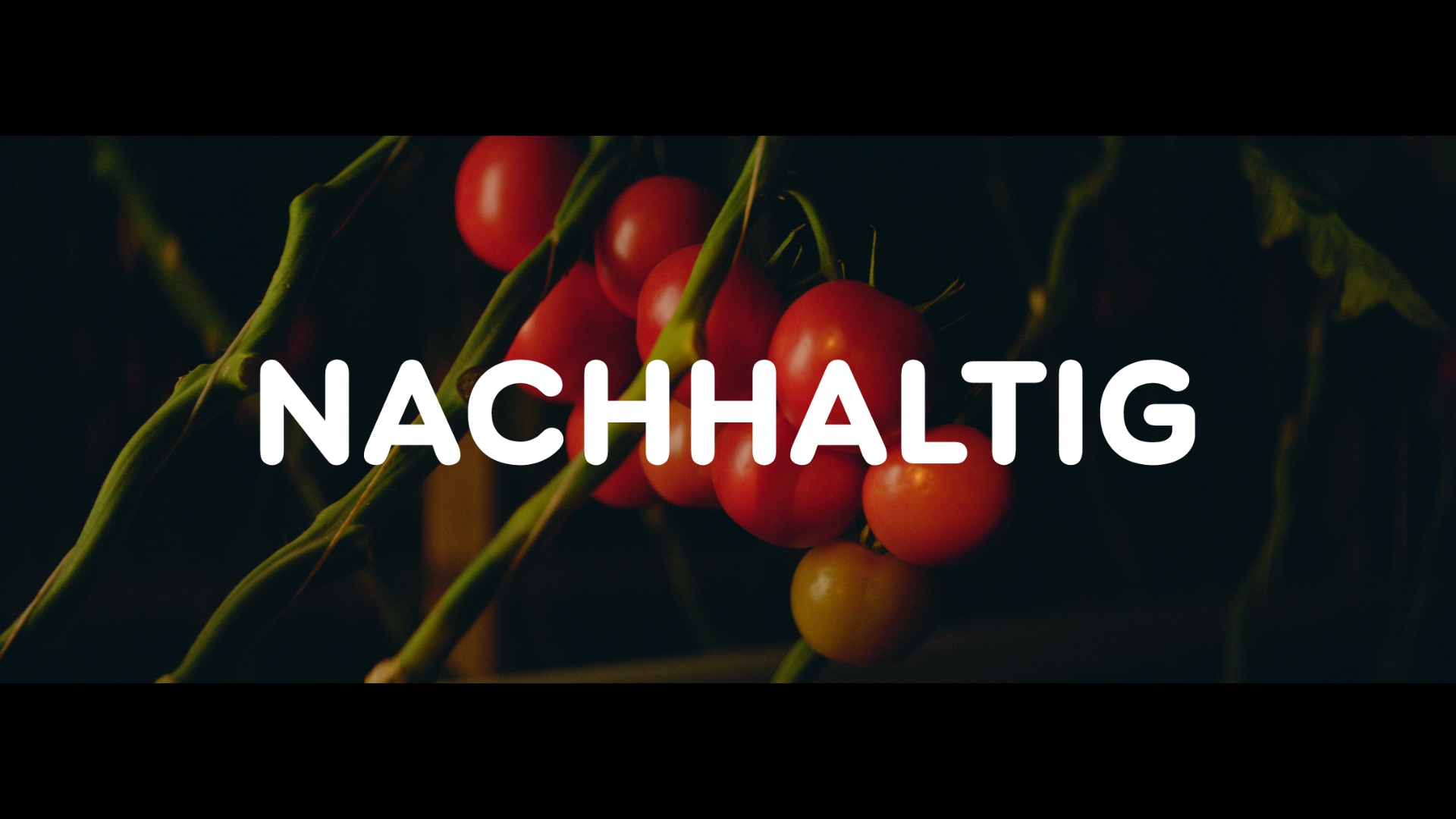 Harvest Digital Agriculture - Netto // Employer Branding