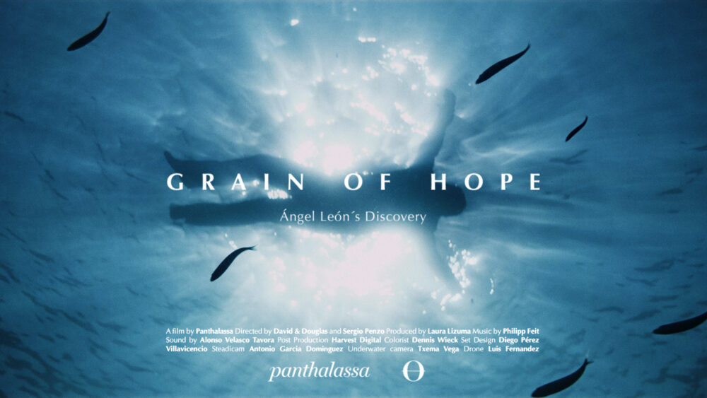 Harvest Digital Agriculture - Film // Grain of hope Harvest Digital Agriculture - Film // Grain of hope - Cinema