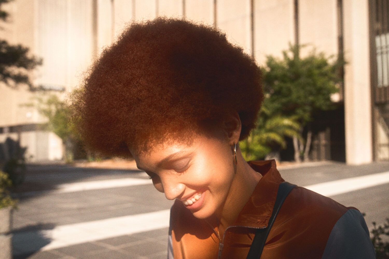 Harvest Digital Agriculture - Photo Series // 928.1