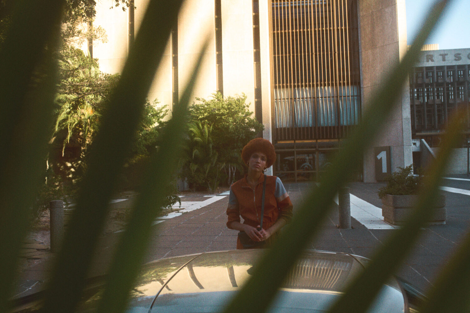 Harvest Digital Agriculture - Photo Series // 928.1