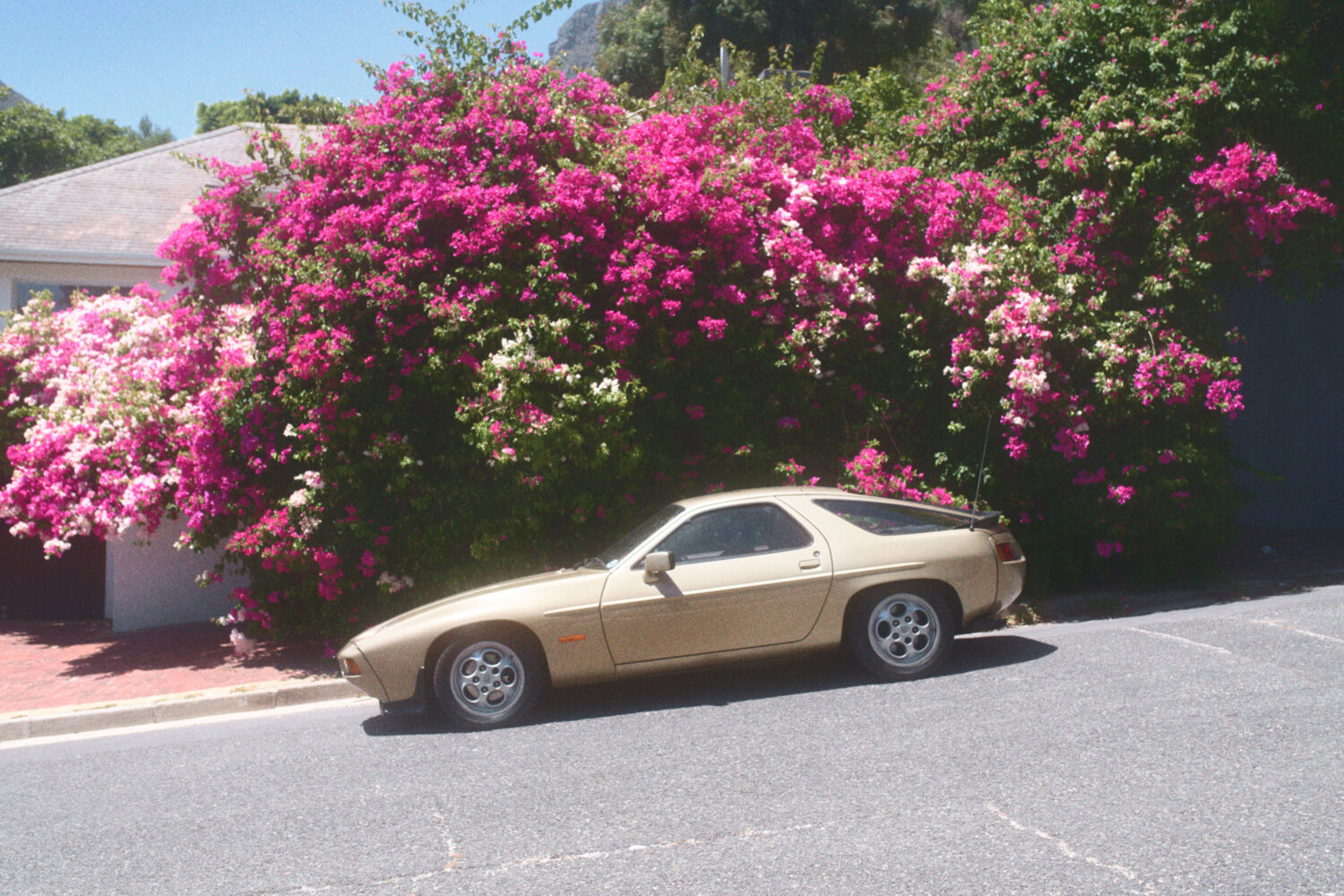 Harvest Digital Agriculture - Photo series // 928.2