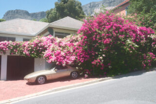 Harvest Digital Agriculture - Photo series // 928.2