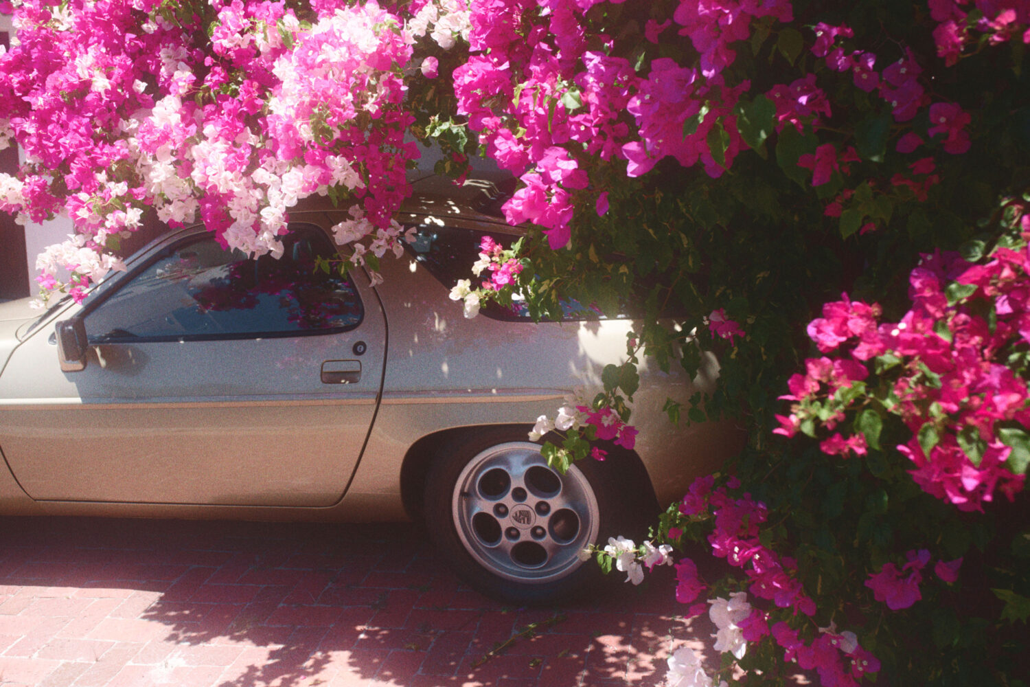 Harvest Digital Agriculture - Photo series // 928.2