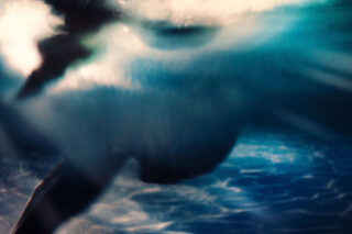 Harvest Digital Agriculture - Photo Series // Naked swim