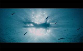 Harvest Digital Agriculture - Film // Grain of hope Harvest Digital Agriculture - Film // Grain of hope