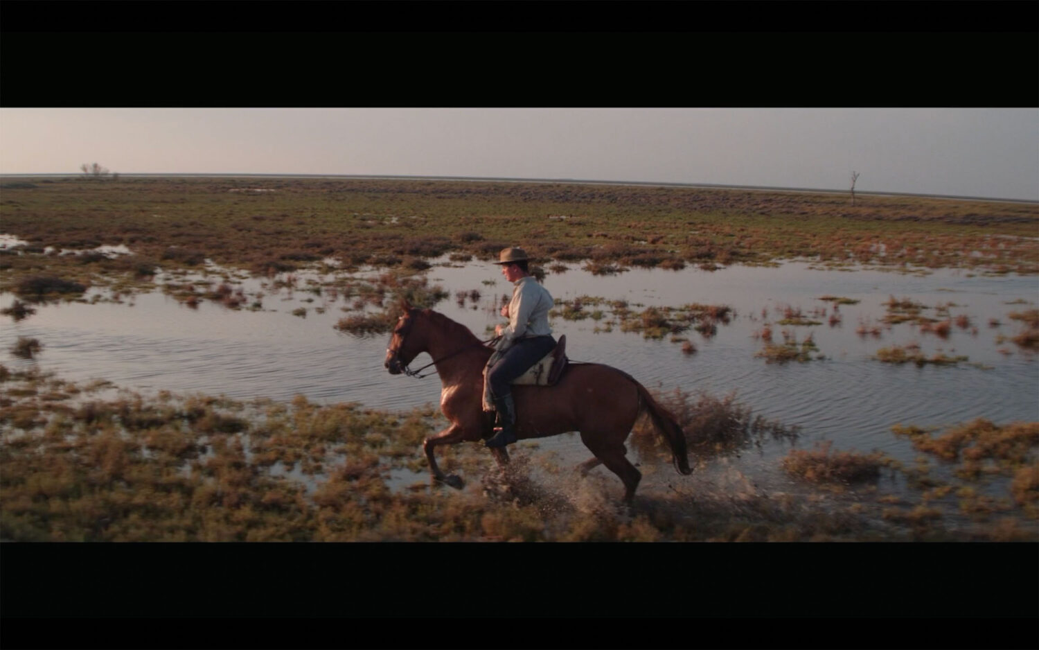 Harvest Digital Agriculture - Film // Grain of hope Harvest Digital Agriculture - Film // Grain of hope