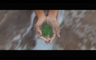 Harvest Digital Agriculture - Film // Grain of hope Harvest Digital Agriculture - Film // Grain of hope