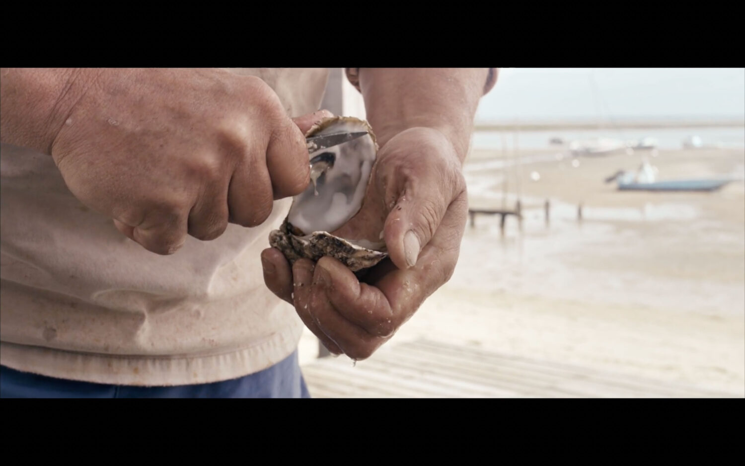 Harvest Digital Agriculture - Film // monsieur oyster