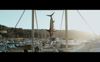 Harvest Digital Agriculture - film // remember the fish Harvest Digital Agriculture - film // remember the fish