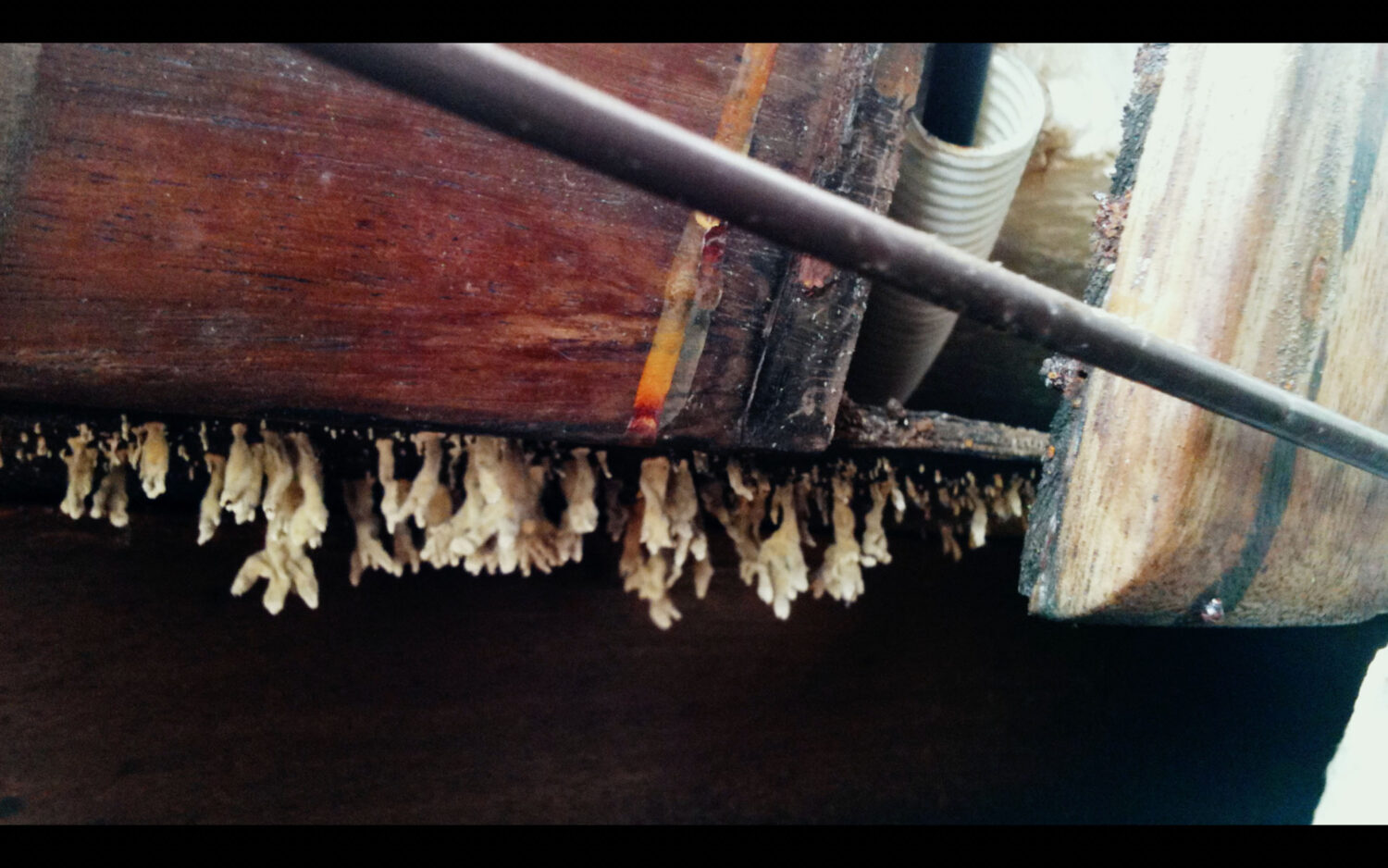 Harvest Digital Agriculture - film // untie the lines