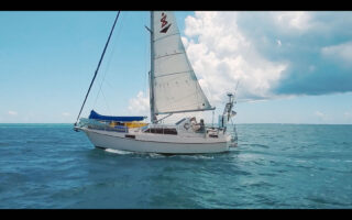 Harvest Digital Agriculture - film // untie the lines