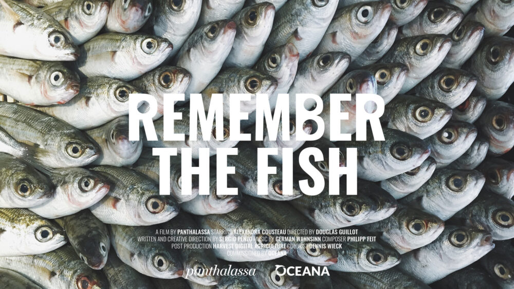 Harvest Digital Agriculture - film // remember the fish Harvest Digital Agriculture - film // remember the fish - Cinema