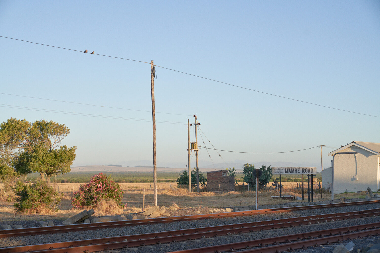 Harvest Digital Agriculture - photo series // Corniche