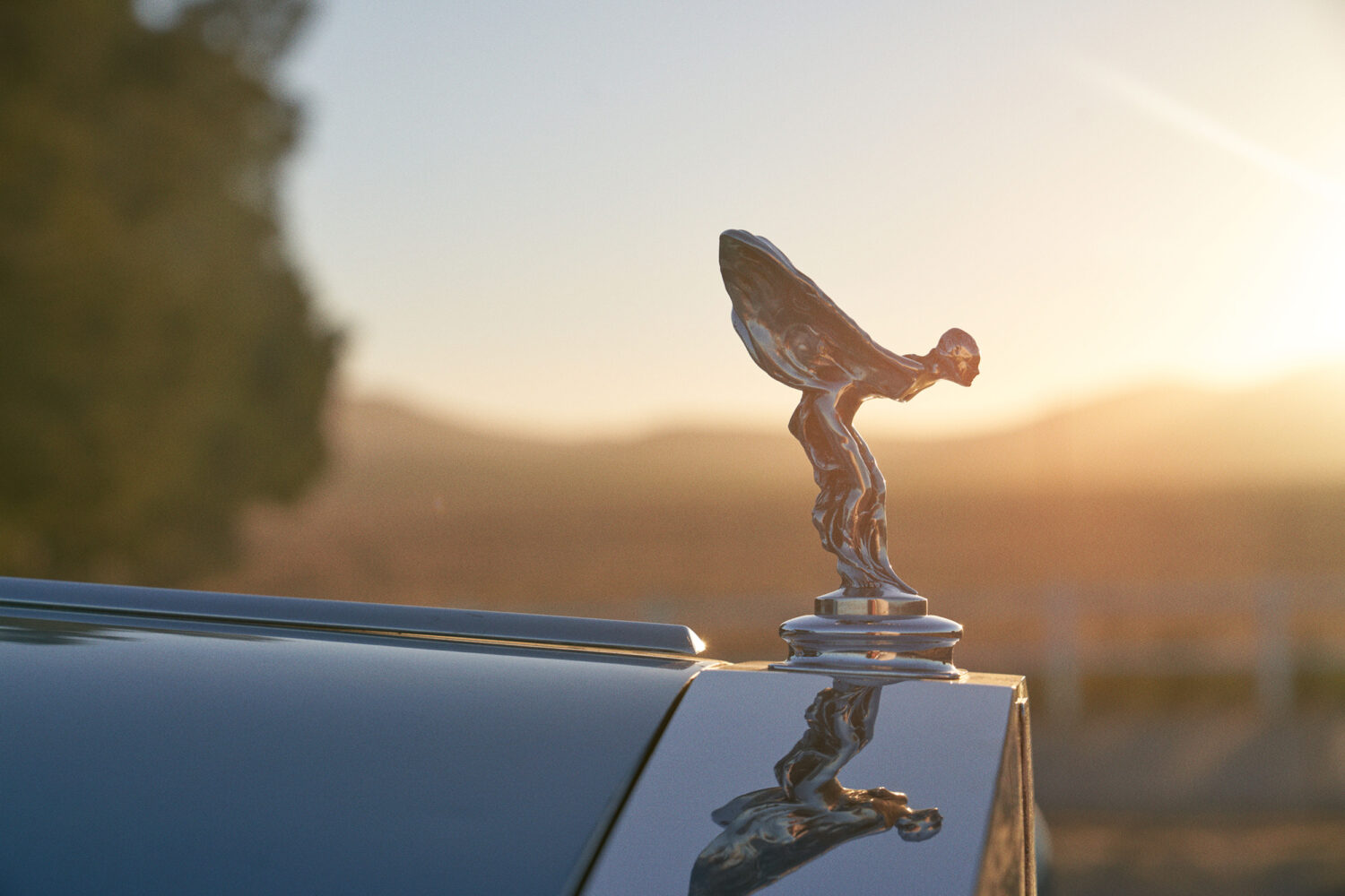 Harvest Digital Agriculture - photo series // Corniche