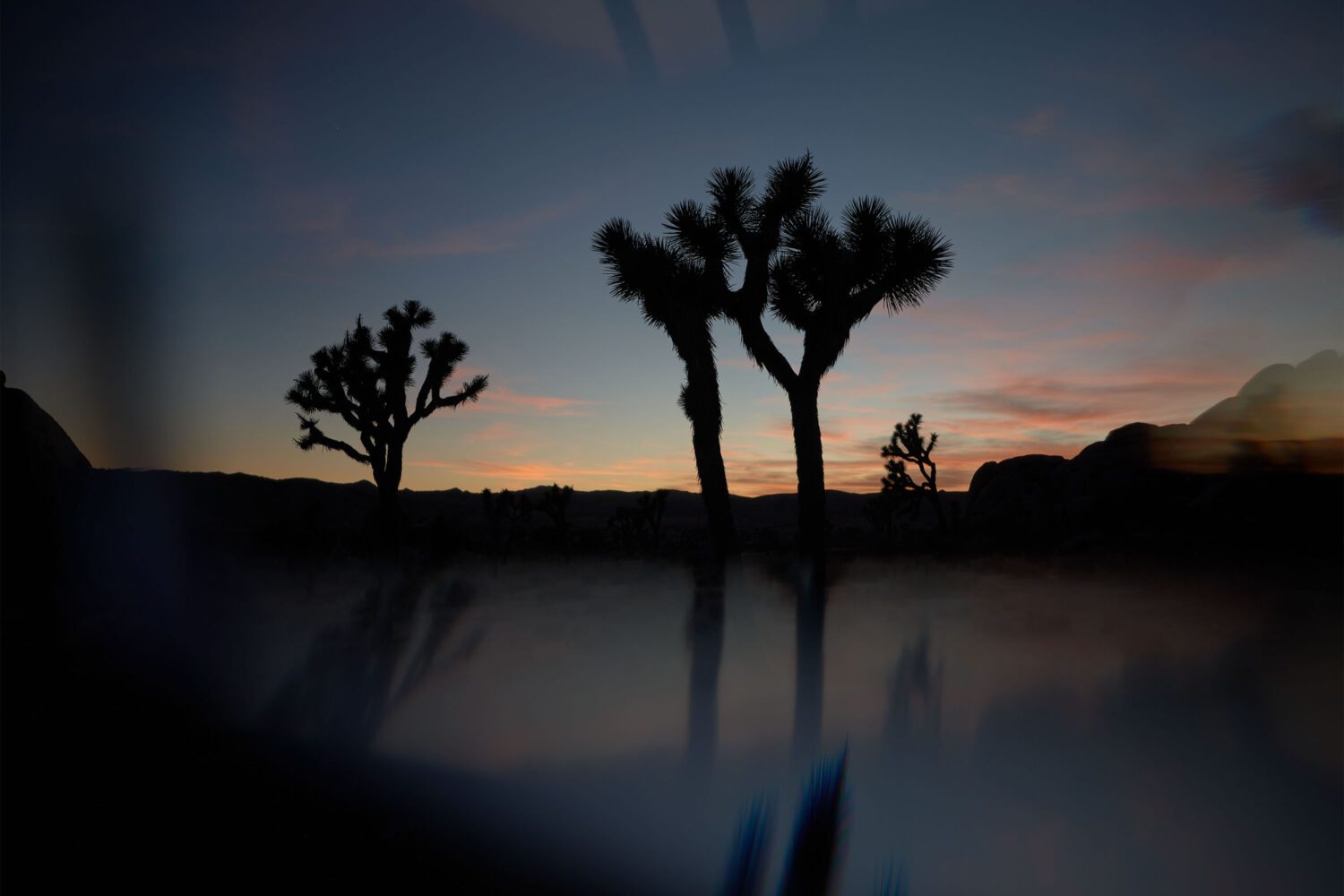 Harvest Digital Agriculture - audi // rs 6 avant