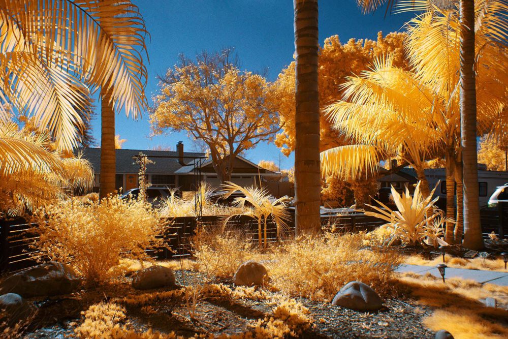 Harvest Digital Agriculture - PHOTO SERIES // CALIFORN-IR - Retouching