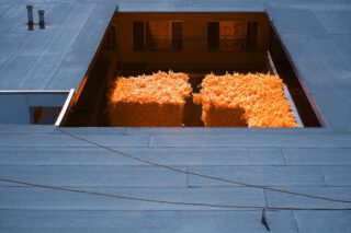 Harvest Digital Agriculture - PHOTO SERIES // CALIFORN-IR