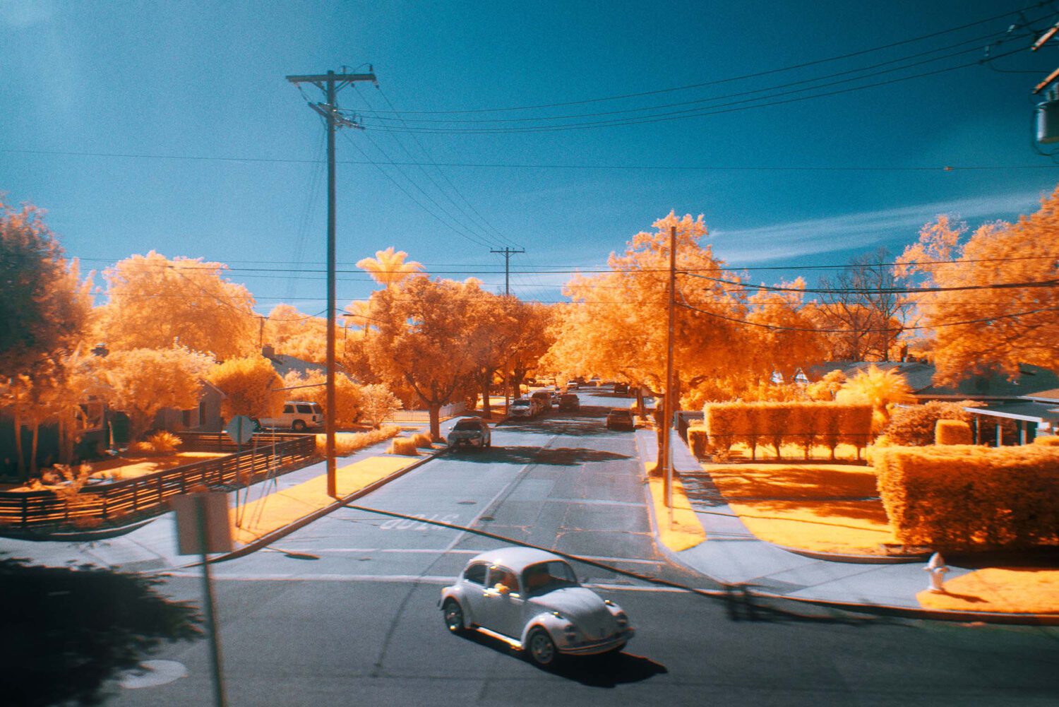 Harvest Digital Agriculture - PHOTO SERIES // CALIFORN-IR