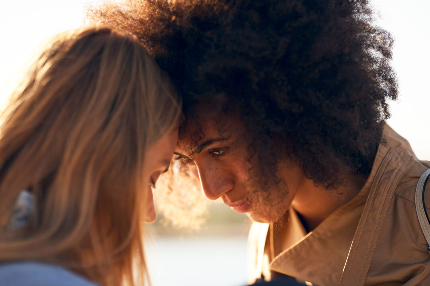 Harvest Digital Agriculture - ORA // Funky Cat