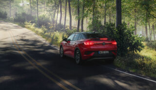 Harvest Digital Agriculture - photo series // gybow in the forest