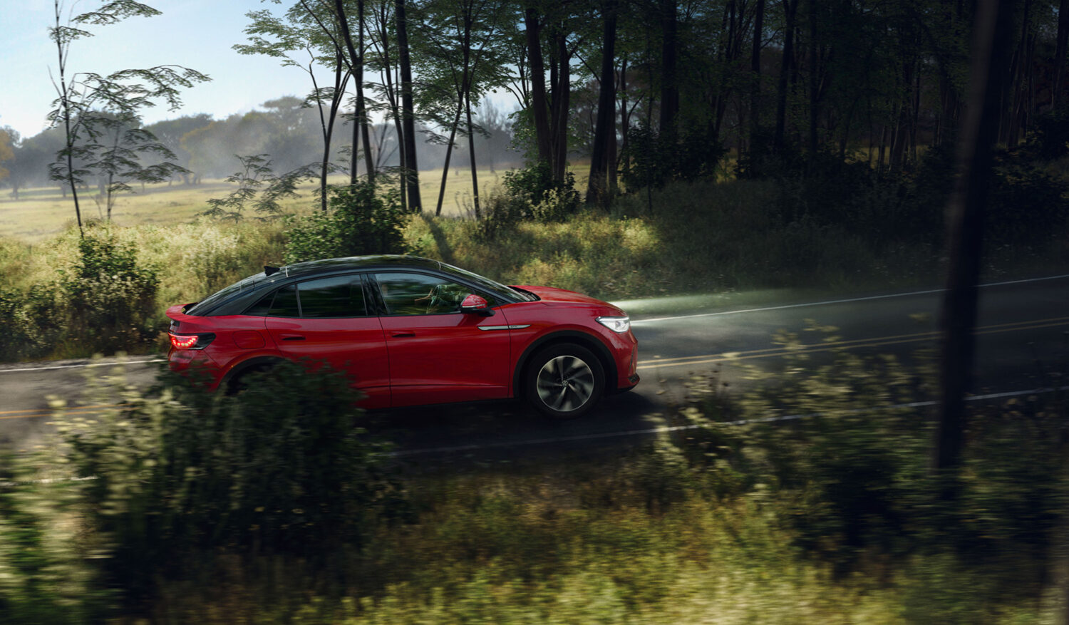 Harvest Digital Agriculture - photo series // gybow in the forest