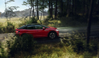 Harvest Digital Agriculture - photo series // gybow in the forest